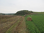 IMG_5677
