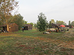 IMG_5458