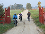 IMG_5462