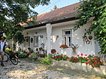 IMG_5535