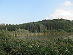 IMG_5553
