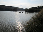 IMG_5554