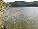 IMG_5555