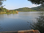 IMG_5556