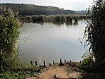 IMG_5558