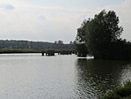 IMG_5557