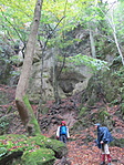 IMG_5695