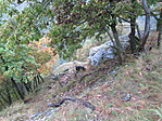 IMG_5734