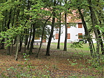 IMG_5800