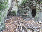 IMG_5805