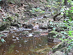 IMG_5815