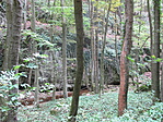 IMG_5818
