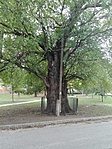 IMG_20161007_161406