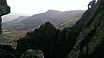 IMAG2431