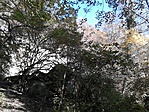 IMG_20161023_122831