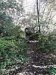 IMG_20161023_122837