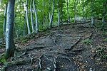 P1110655
