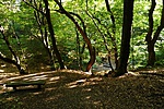 P1110653