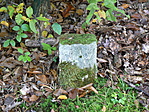 P1330951