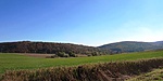 2016