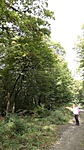 IMG_20161009_115240