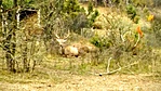 20161029_141519