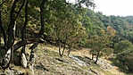 20161001_120759