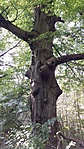 20161001_142530