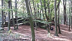 20161001_151402