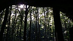 20161001_152755