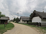 IMG_1966
