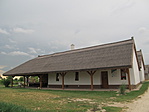 IMG_1969