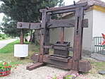 IMG_1970