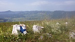 20160620_094735