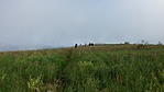 20160620_094012