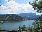 IMG_2353
