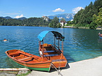 IMG_2378