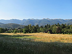 IMG_2416
