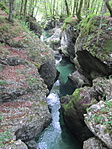 IMG_2445