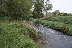 DSC07001