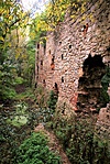DSC07005