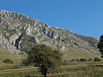 DSC08483
