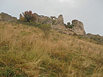 DSC08529