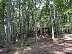 P1370586