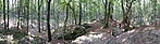 P1370590_stitch