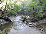P1370618