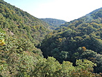 P1370630