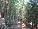 IMG_6041