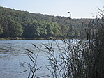 IMG_6043