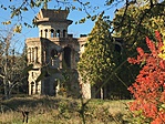 IMG_4526